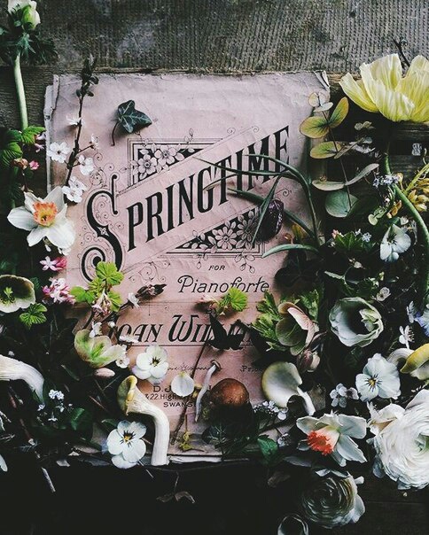 Image showing spring flowers surrounding the word Springtime